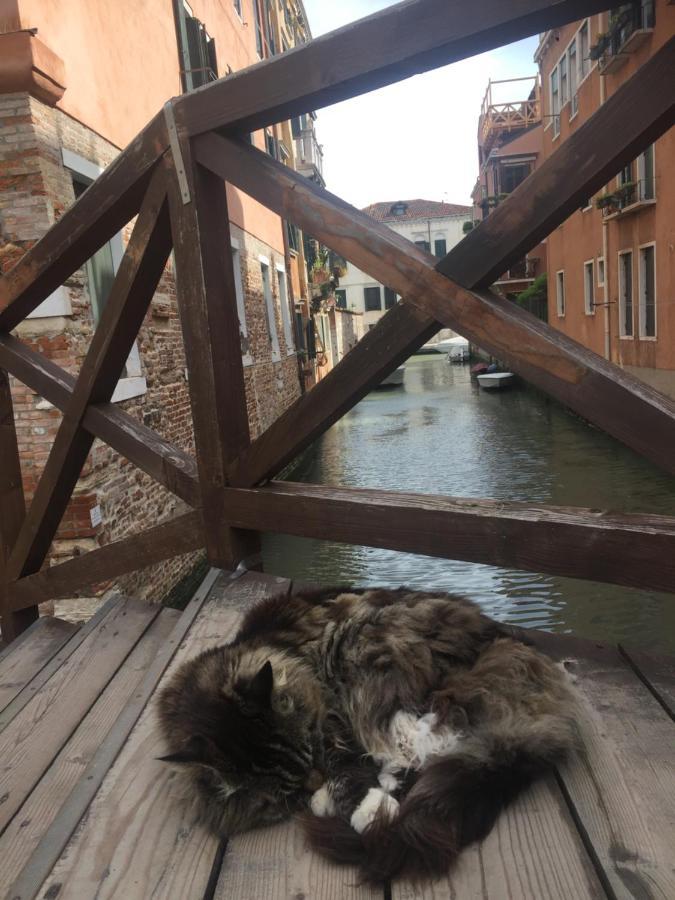 Mori 3, In Centro Storico Di Venezia 아파트 외부 사진
